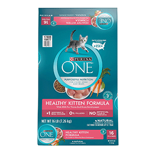 Purina ONE Best Dry Cat Food